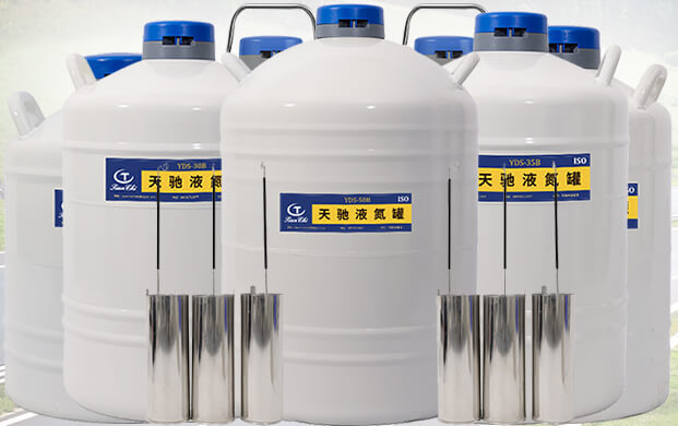 液氮運輸罐能轉移樣本使用嗎？